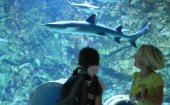 Zee Aquarium Bergen aan Zee